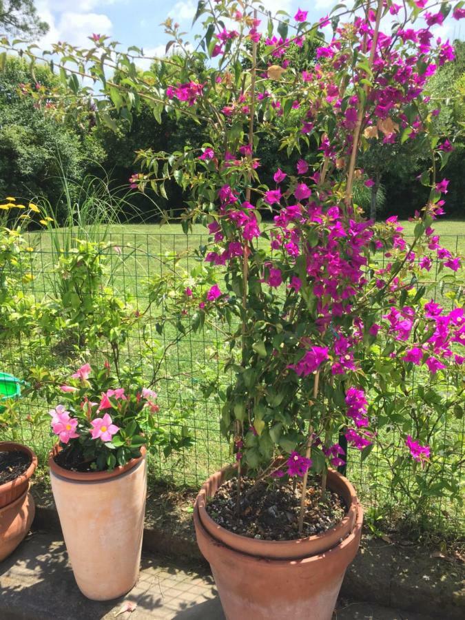 B&B La Villa Mediterranea Passirano Εξωτερικό φωτογραφία