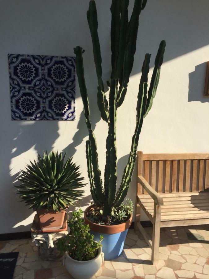 B&B La Villa Mediterranea Passirano Εξωτερικό φωτογραφία
